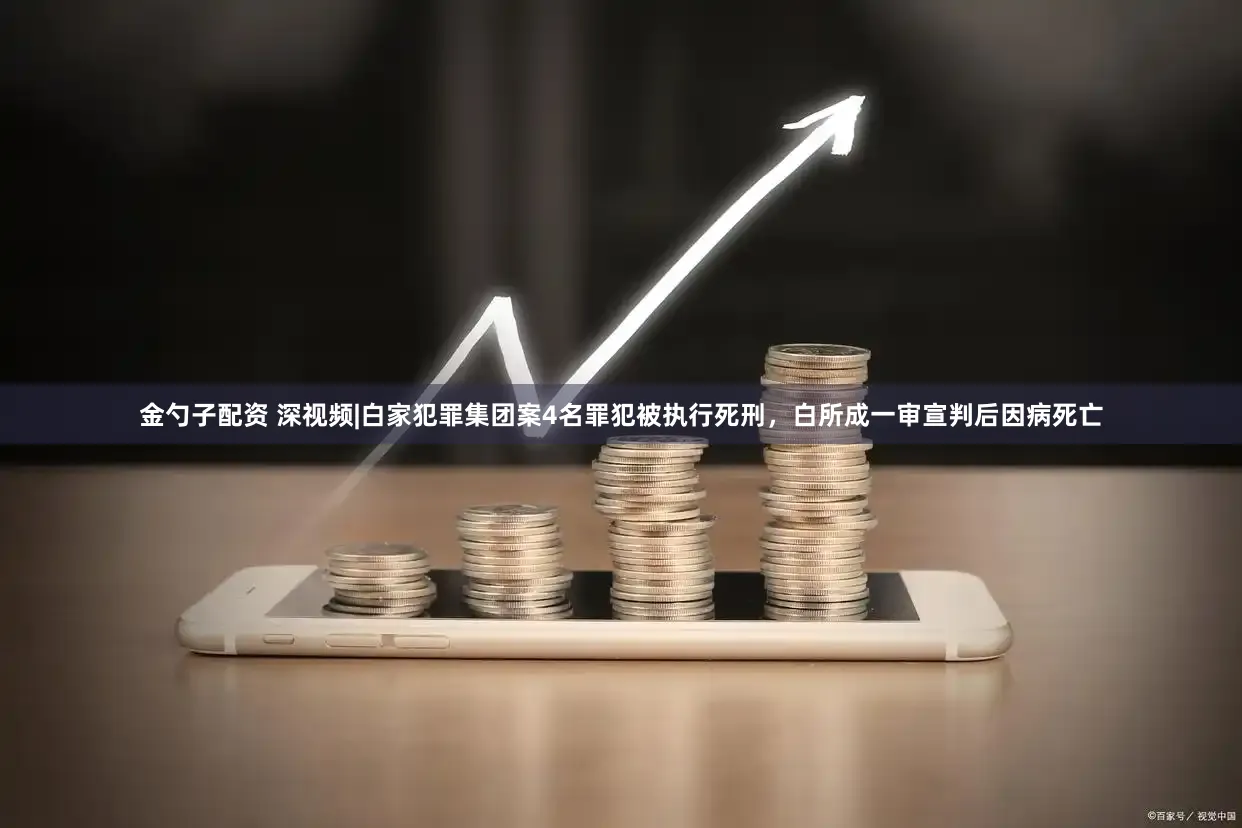 金勺子配资 深视频|白家犯罪集团案4名罪犯被执行死刑，白所成一审宣判后因病死亡