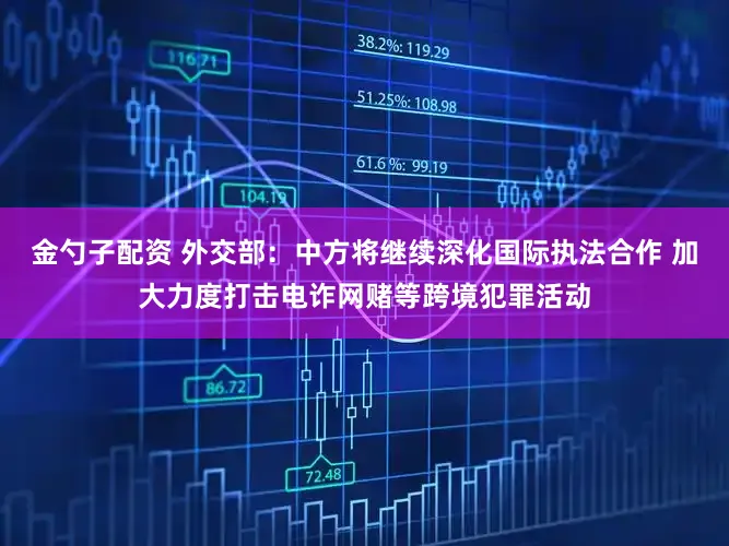 金勺子配资 外交部：中方将继续深化国际执法合作 加大力度打击电诈网赌等跨境犯罪活动