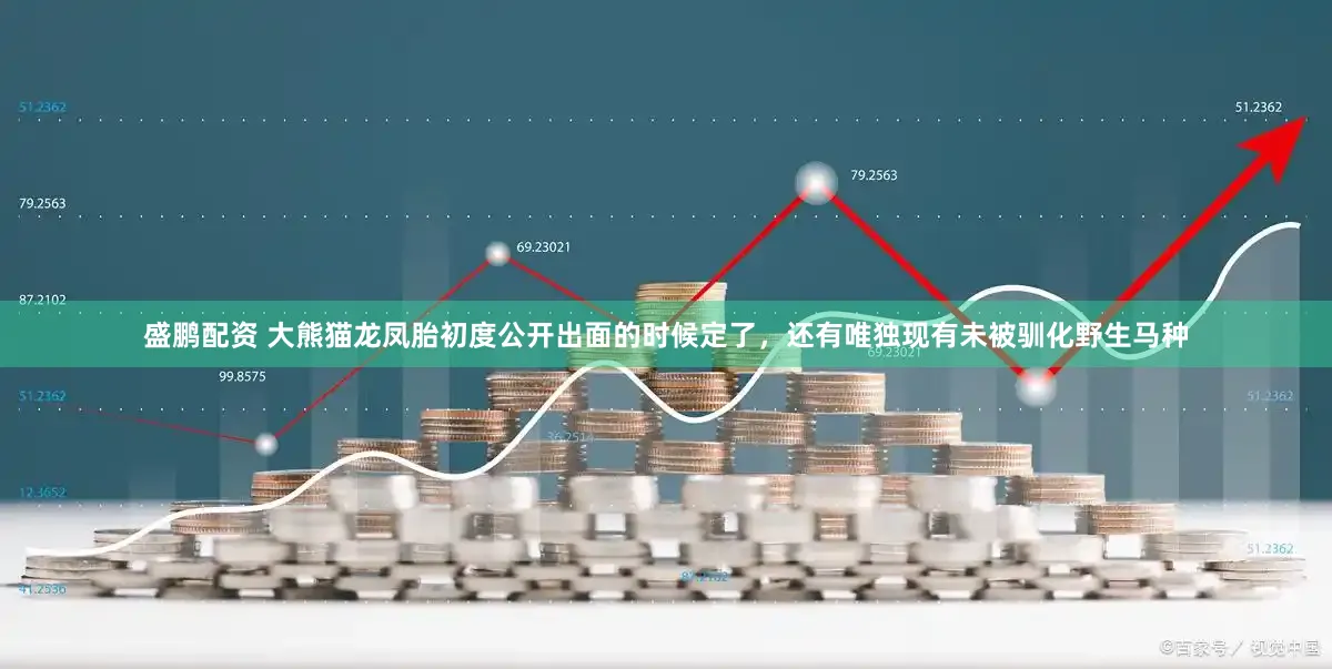 盛鹏配资 大熊猫龙凤胎初度公开出面的时候定了，还有唯独现有未被驯化野生马种