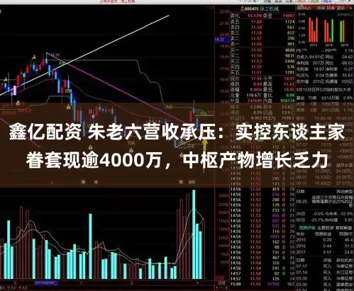 鑫亿配资 朱老六营收承压：实控东谈主家眷套现逾4000万，中枢产物增长乏力