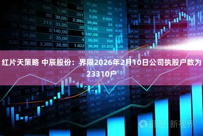 红片天策略 中辰股份：界限2026年2月10日公司执股户数为23310户
