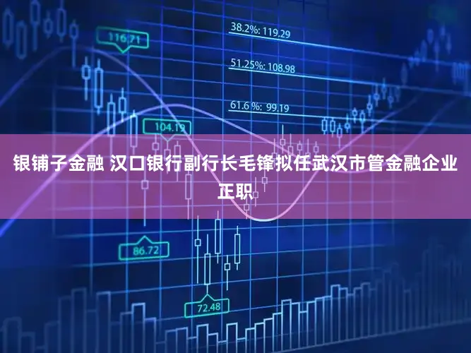 银铺子金融 汉口银行副行长毛锋拟任武汉市管金融企业正职