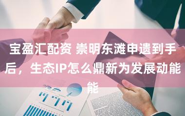 宝盈汇配资 崇明东滩申遗到手后，生态IP怎么鼎新为发展动能