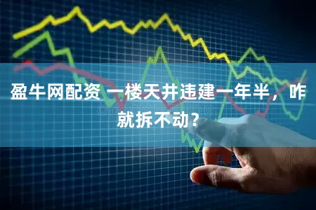 盈牛网配资 一楼天井违建一年半，咋就拆不动？